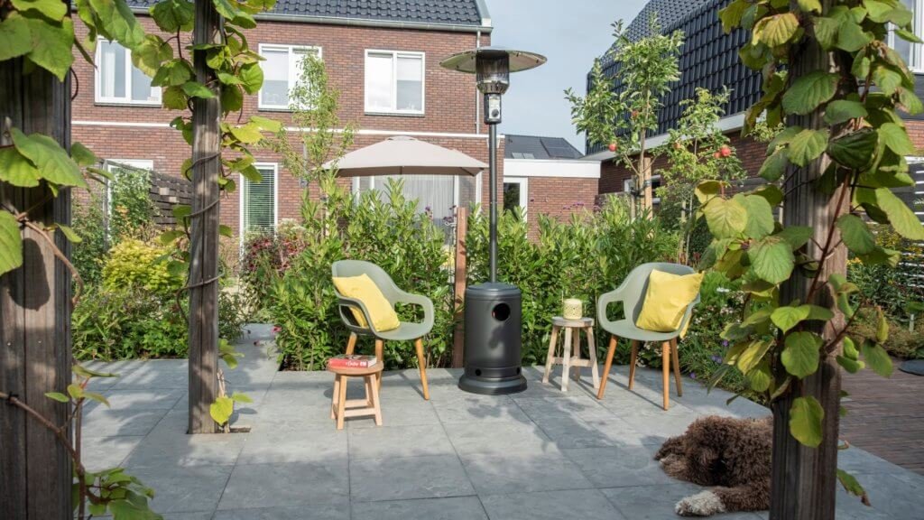 DSCF3562-Large-1024x576