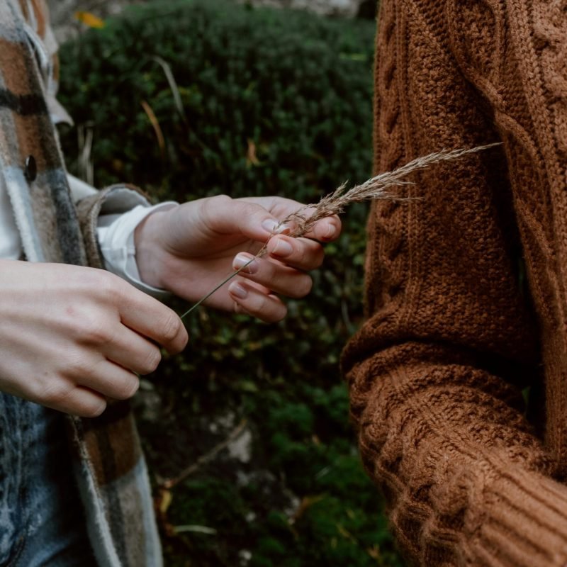 pexels-cottonbro-5966903